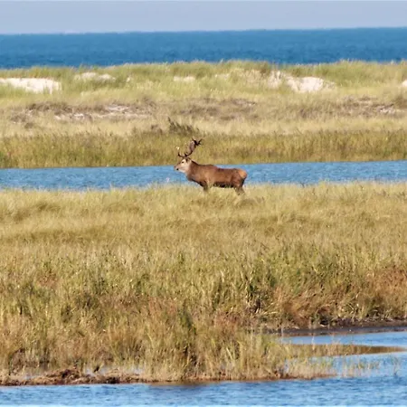 شقة Rothirsch - Heuser