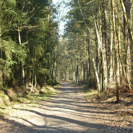 Rothirsch - Heuser *