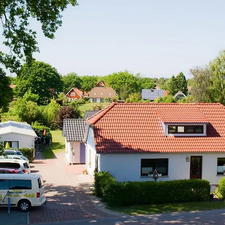 Rothirsch - Heuser Prerow