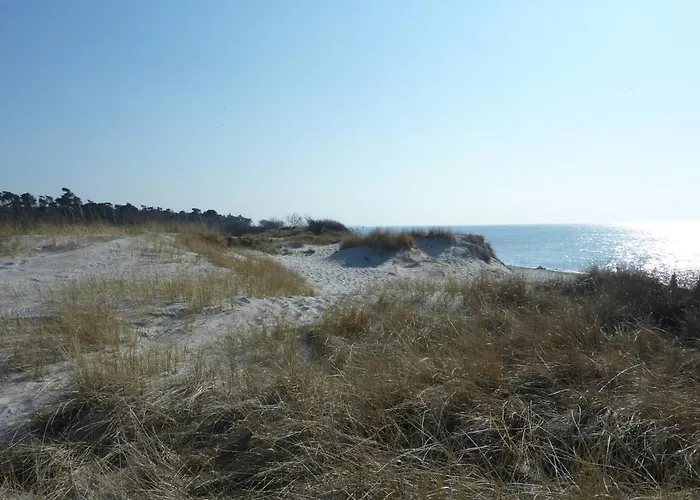 Rothirsch - Heuser 아파트 프레로