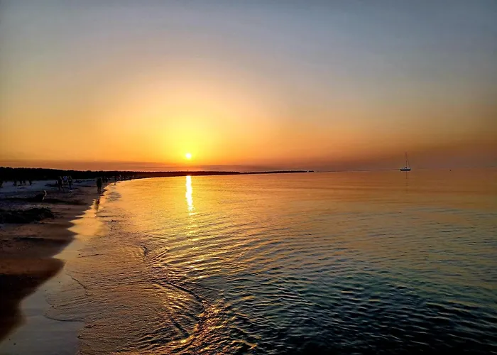 Rothirsch - Heuser 프레로