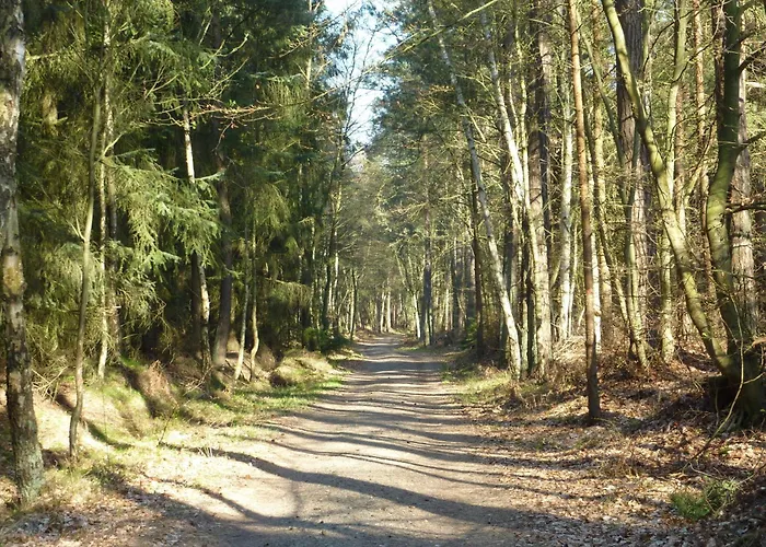 Rothirsch - Heuser *